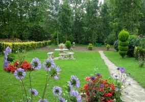 Florecillas en el jardín