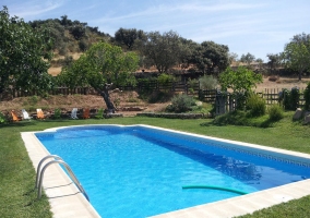 Piscina privada que le rodea un amplio jardín