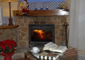 Chimenea y libros