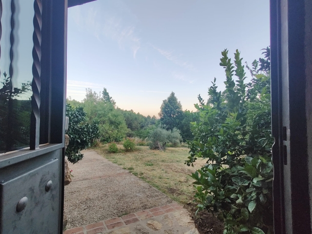 Vista desde la puerta