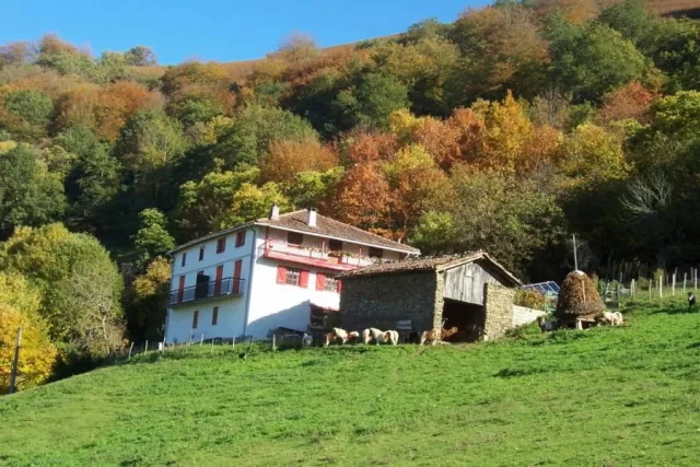 Bagoleko Borda I 