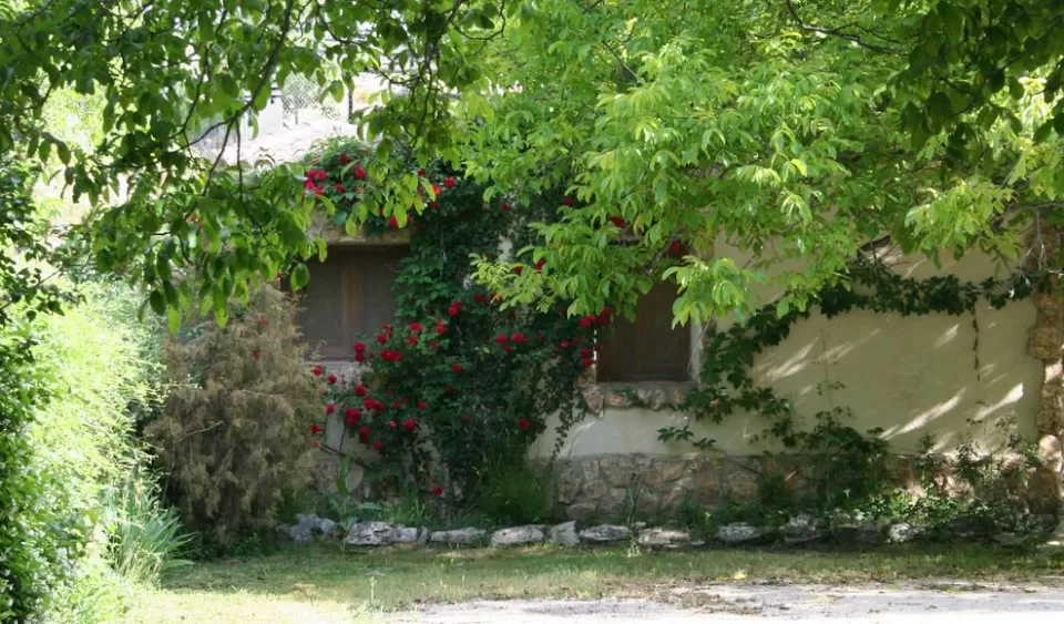 El Olmo 