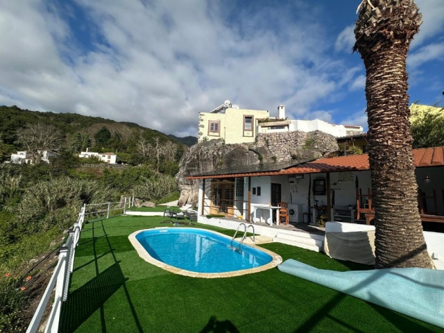 Amplia piscina y palmera