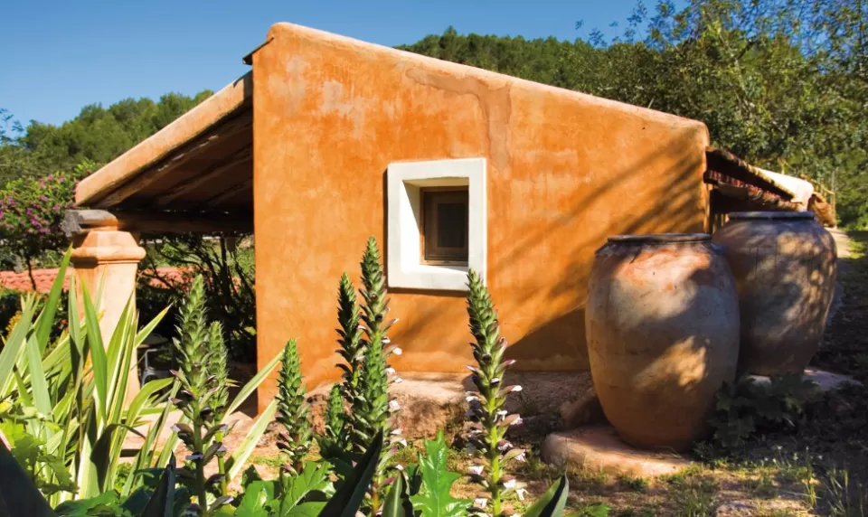 Casa Olivo