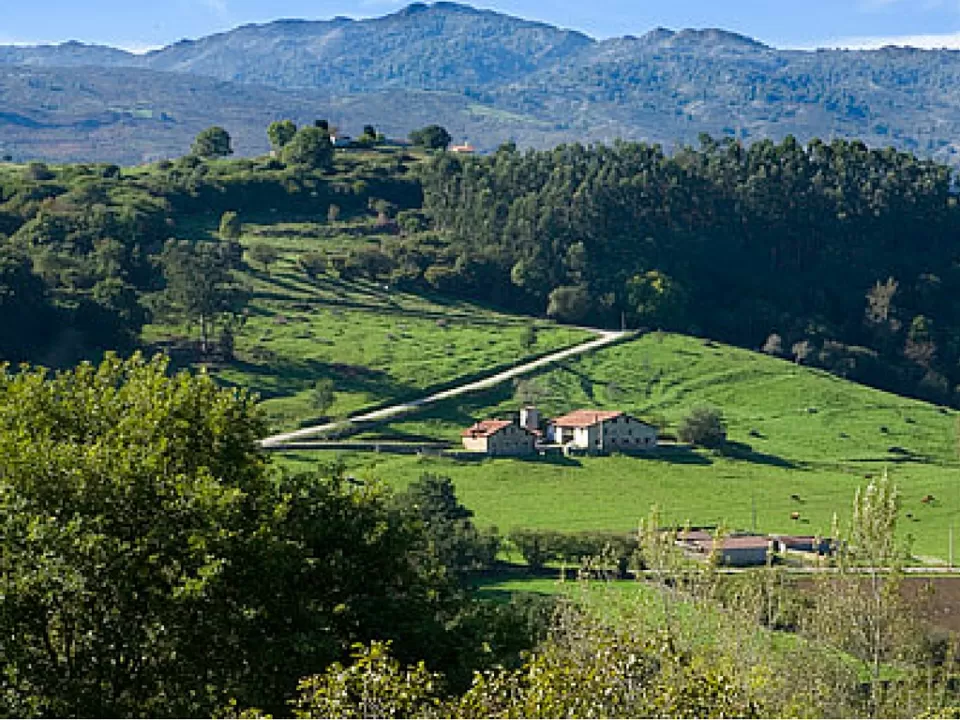 Primorías - Camijanes 1