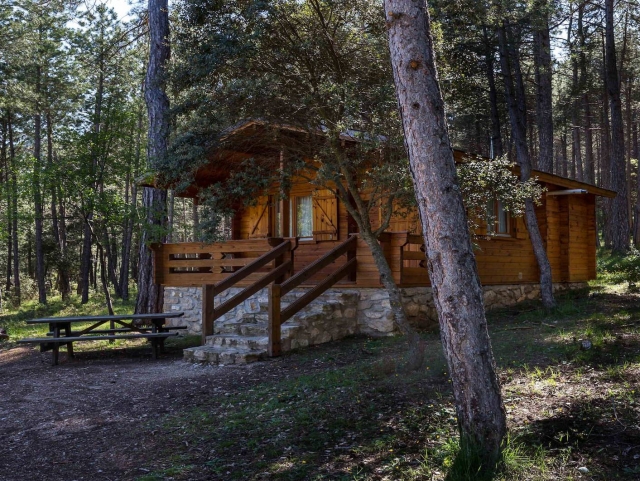 Cabana en el  bosque