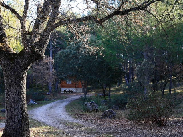 Cabanas en el Bosque