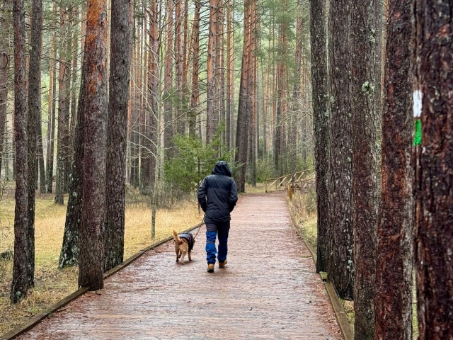 Senderismo Rio Cuervo