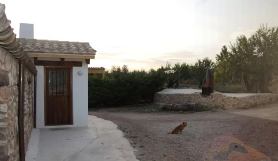 Apartamento Curto