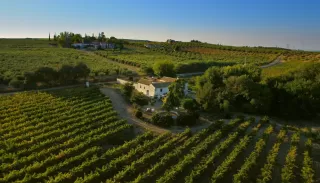 Finca Buytron