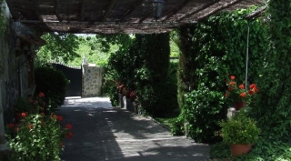 Jardín repleto de zonas verdes