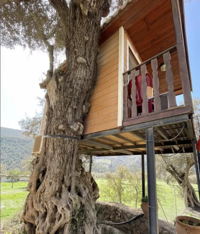 Paula Saavedra Requena en su estacia en Cabañas del Camping Orgiva 3210_1
