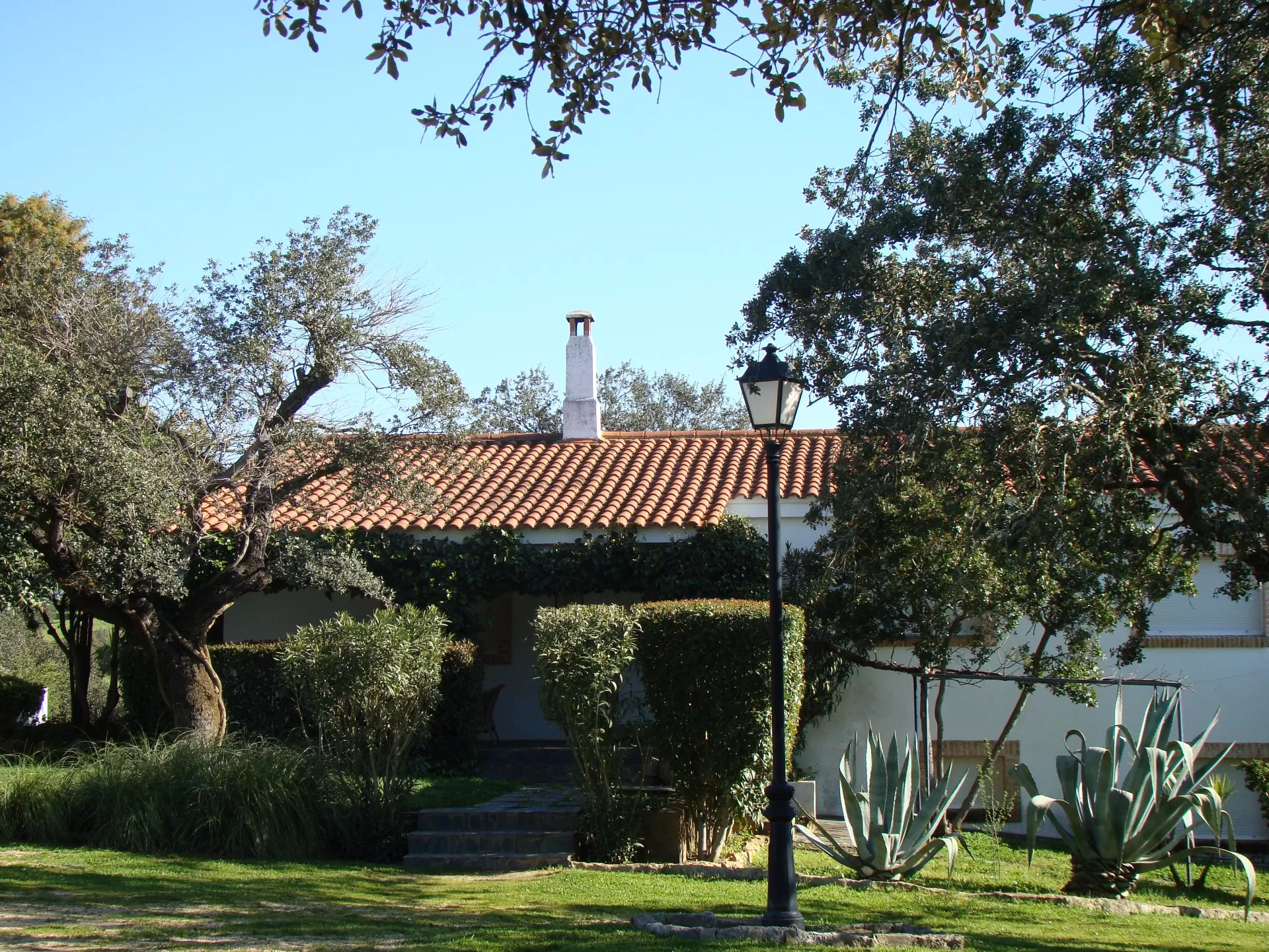 La Galana