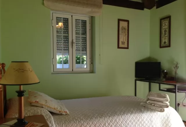 Habitación individual 2