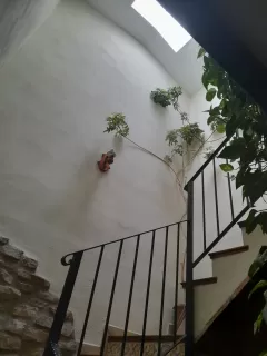 Rosa Maria Alberca Abad in your stay in Turimaestrat 6364_2