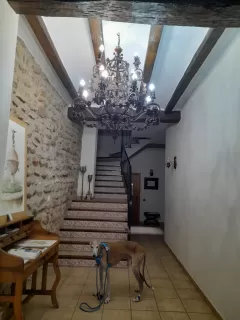 Rosa Maria Alberca Abad in your stay in Turimaestrat 6364_3