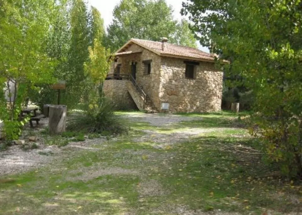 Bungalow 8