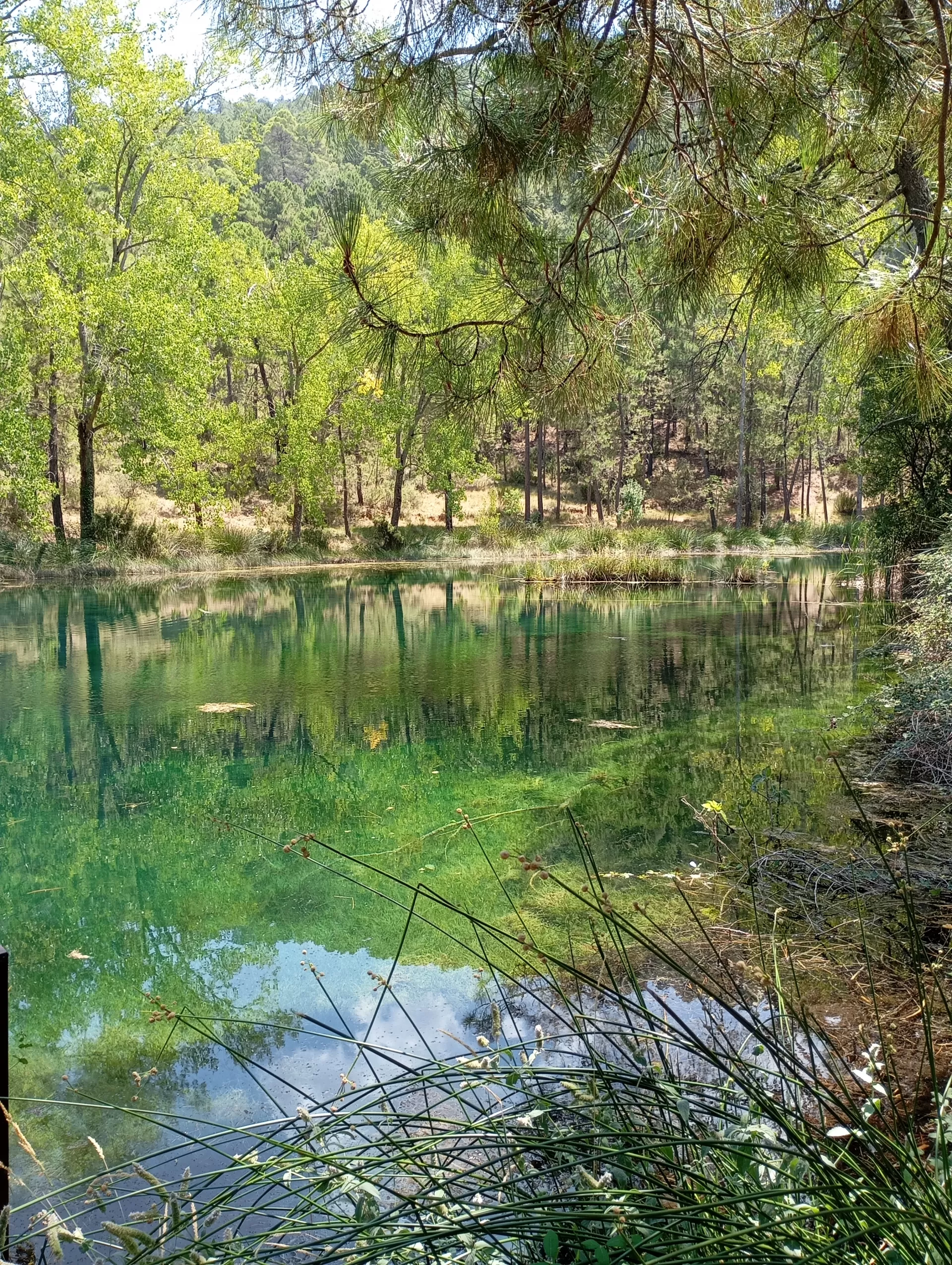 Ana Gómez Martínez en su estacia en Cabañas Camping Sierra Peñascosa 4966_1