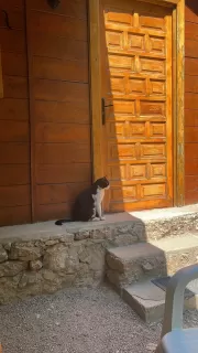 David Cifuentes Defez in your stay in Cabañas Camping Sierra Peñascosa 6818_1