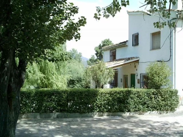 El Mesoncillo I