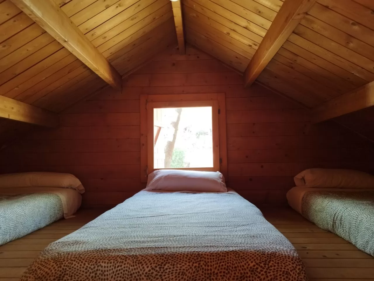 Bungalow de madera adaptado- B
