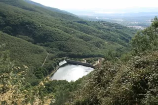 Cama individual en habitación compartida 11