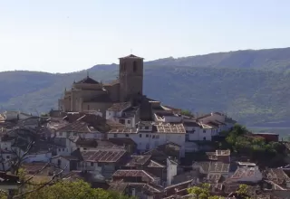 Cama individual en habitación compartida 10