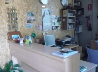 Cama individual en habitación compartida 5