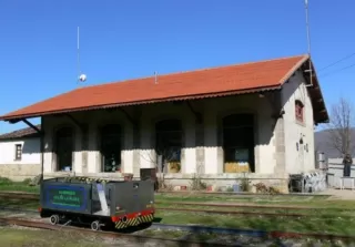 Cama individual en habitación compartida 9