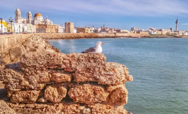 Bungalows y Cabañas Barbate