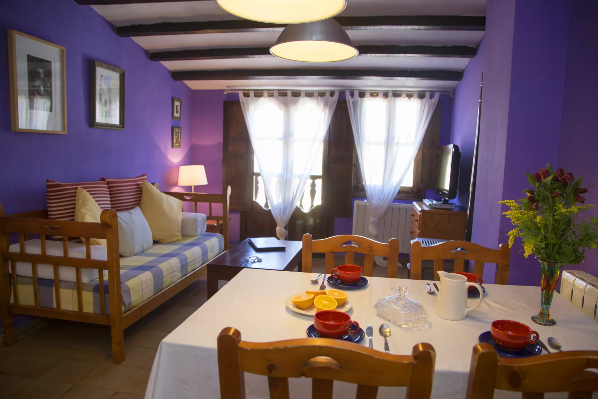 Apartamentos La Iguana