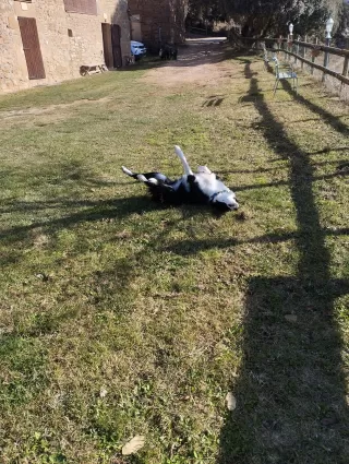 Sonia Gordillo Hisado en su estacia en La Pallera - Cases de Borrells 6569_2