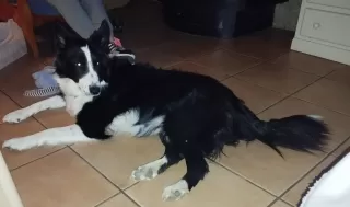 Sonia Gordillo Hisado en su estacia en La Pallera - Cases de Borrells 6569_6