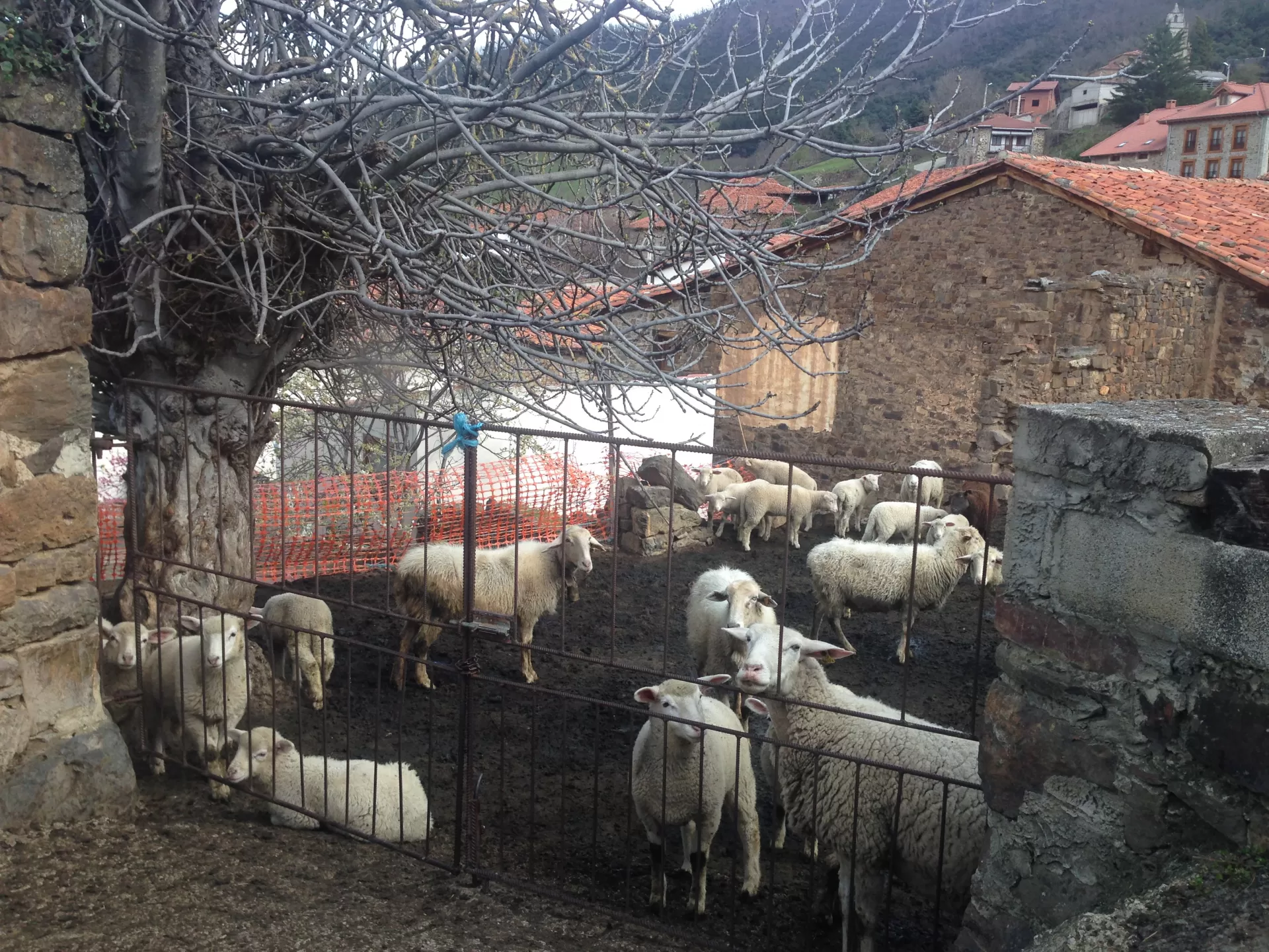 Izaskun en su estacia en Apartamentos Los Llares 1233_3