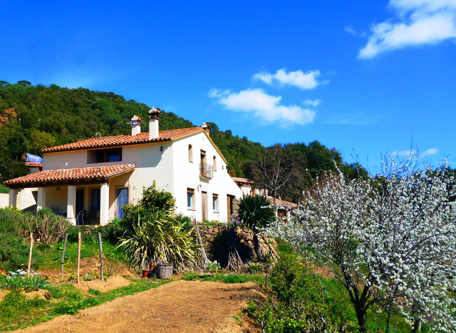  Casa Mas Vinyoles