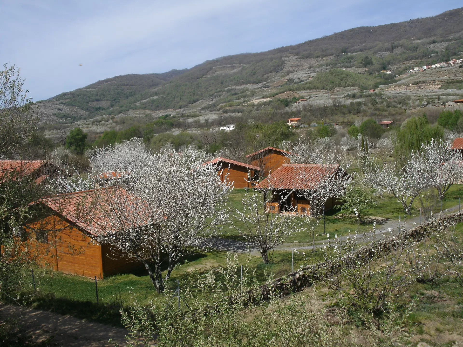 El Rincón del Jerte