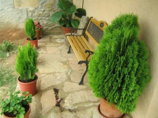 Vistas del porche con banco de madera