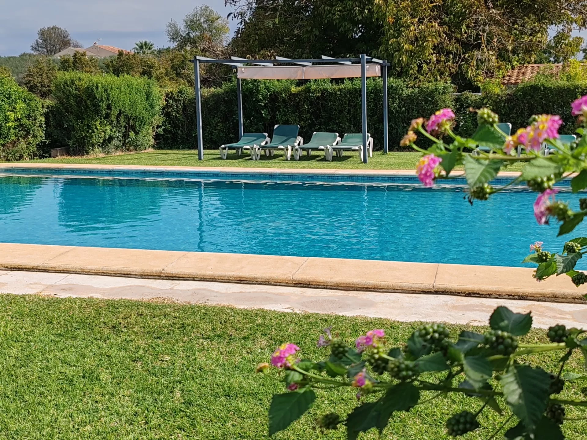 Casa Rural El Olmo