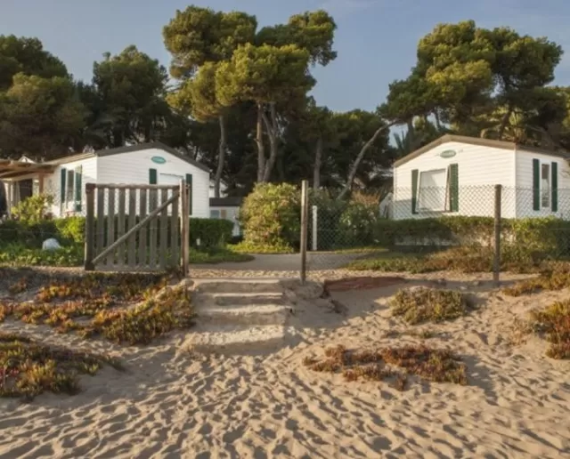 Camping Las Palmeras