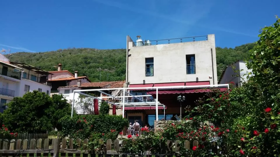 Alberjerte