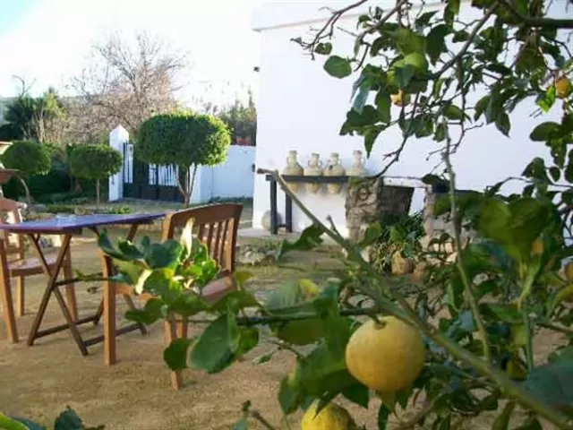 Habitación 5