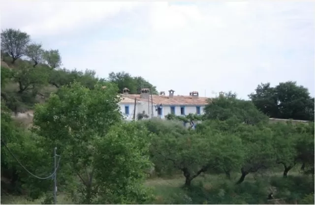 Casa Tío Pedro Miguel