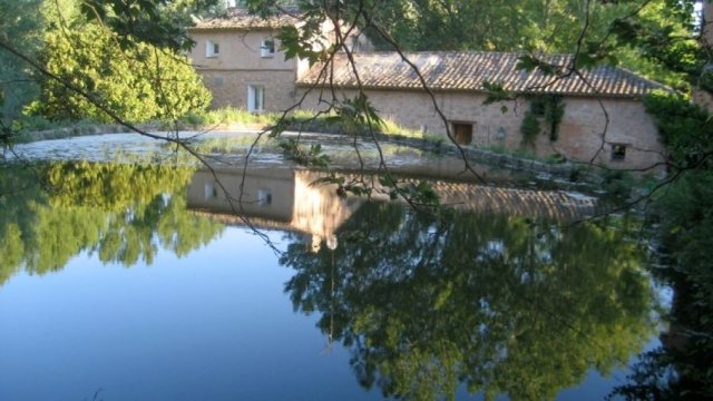Molino del Señor