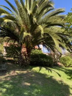 Camila Nates Piedrahit in your stay in Ca´ La Roza 6481_1