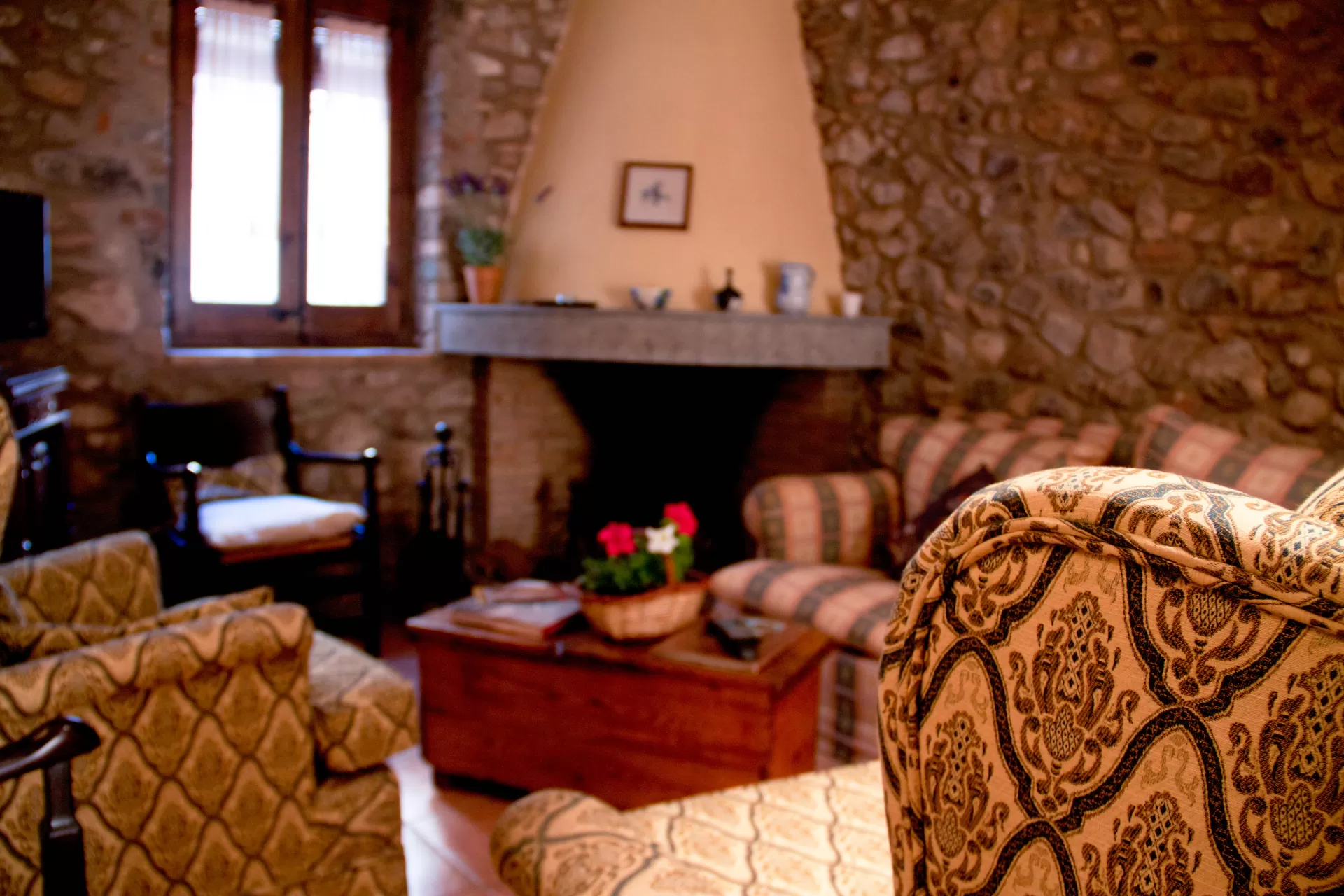 Olive House