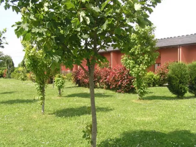Apartamento 7