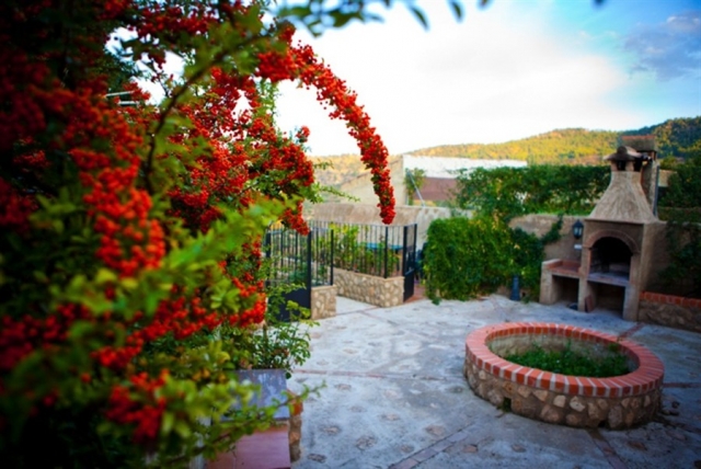 Flores del jardin