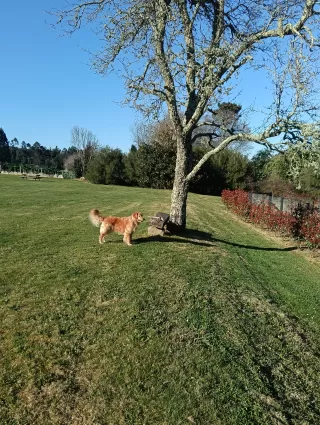 Felix Carmena Gomez in your stay in Casas do Campo 6741_3