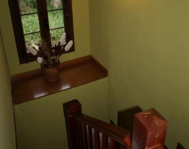 Escaleras de la casa con decorado de plantas