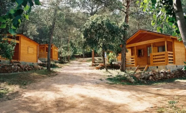 Camping Rural Montillana